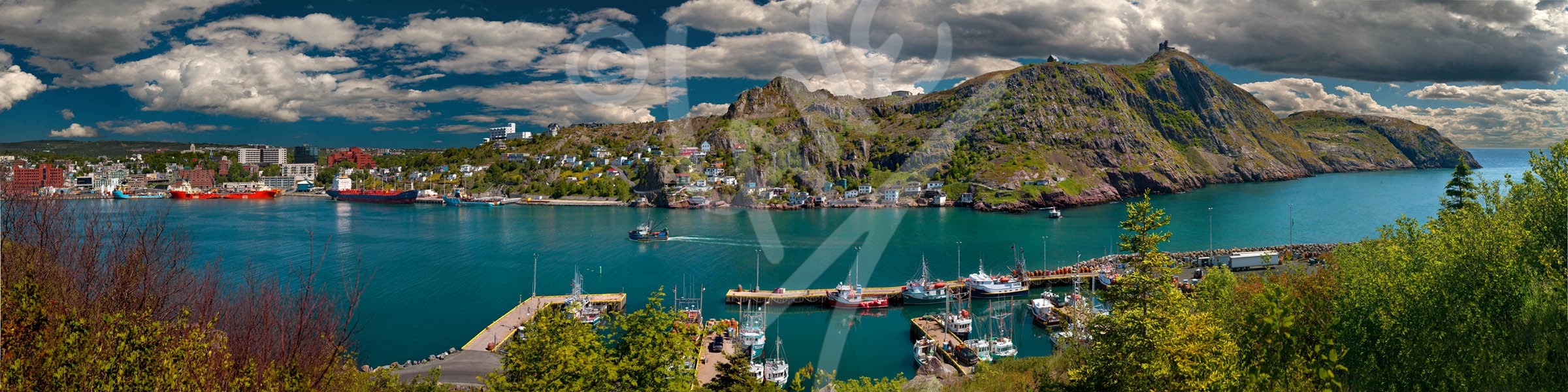 St. John's, Signal Hill, Battery, downtown